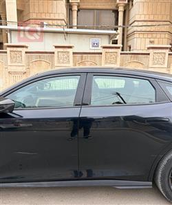 شانجان يوني في